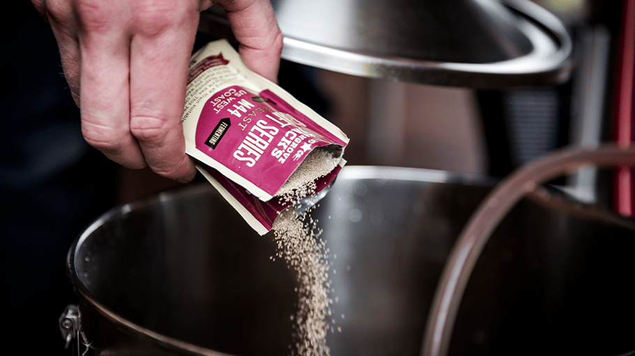 It's All About the Yeast