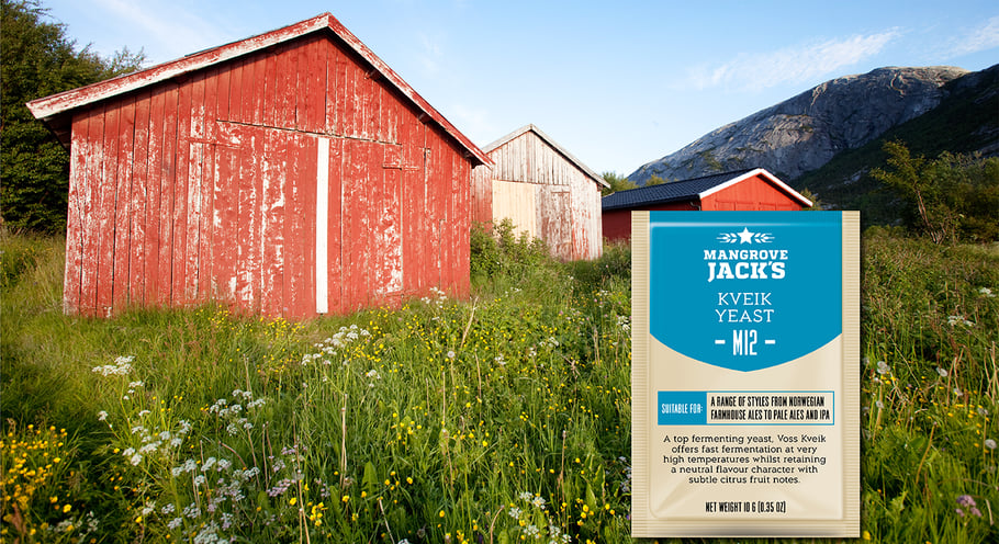 Mangrove Jack's M12 Kveik Yeast