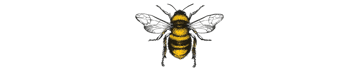 bee